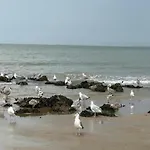 Sunny Escape At *