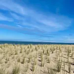Sunny Escape At