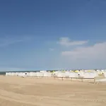 Sunny Escape At *