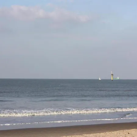 Sunny Escape At Knokke-Heist