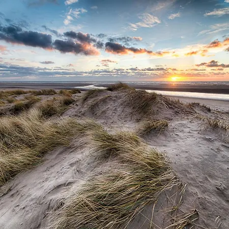 Sunny Escape At Apartment