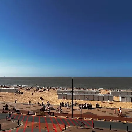 Sunny Escape At