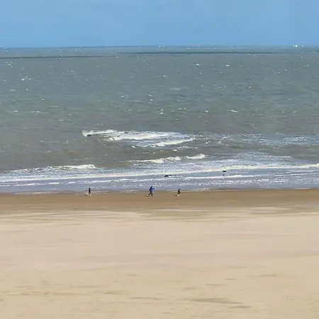 Sunny Escape At * Knokke-Heist