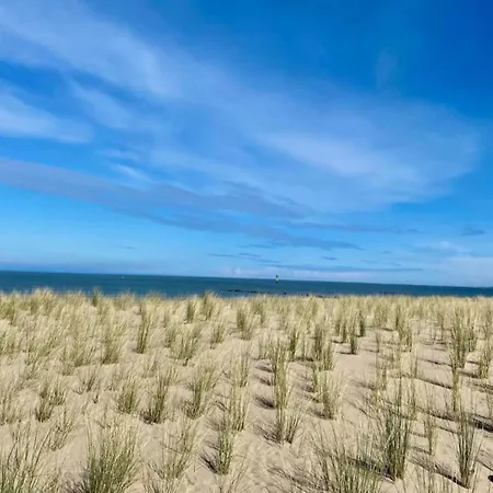 Sunny Escape At